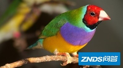 2021年（7月）优派家用家用投影仪选择攻略