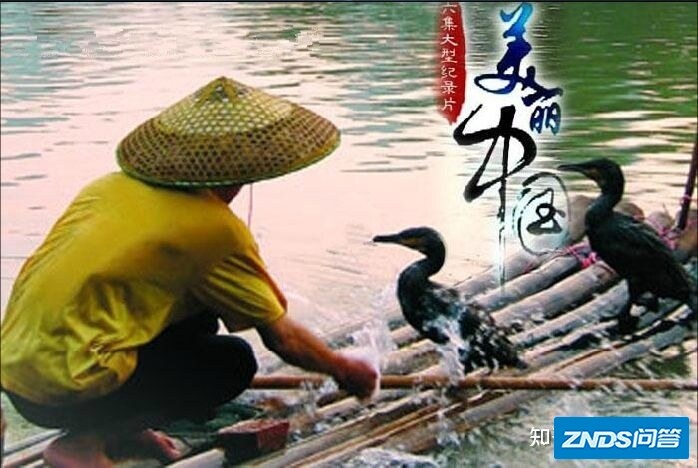 必看央视纪录片