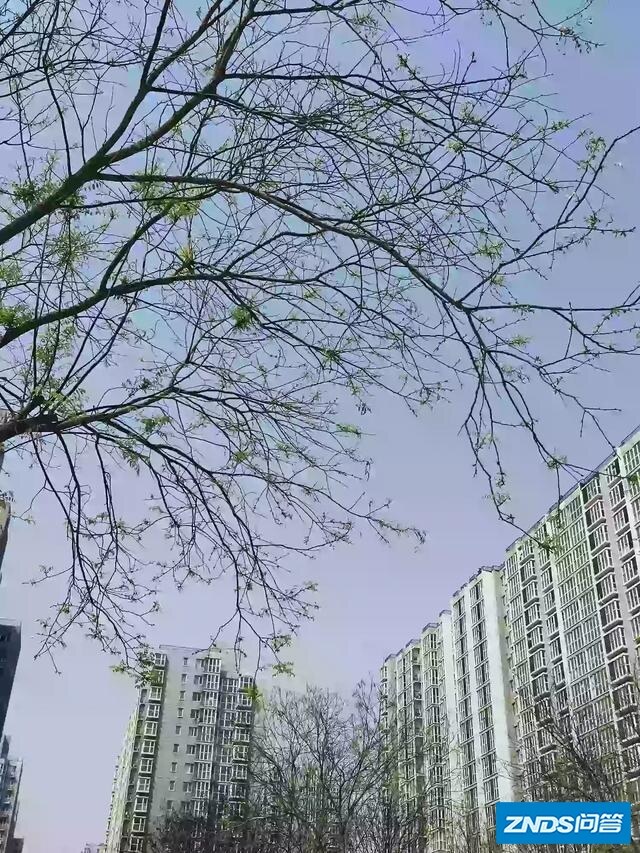 未来电商会彻底替代实体店吗？会不会大街上看不到什么人？