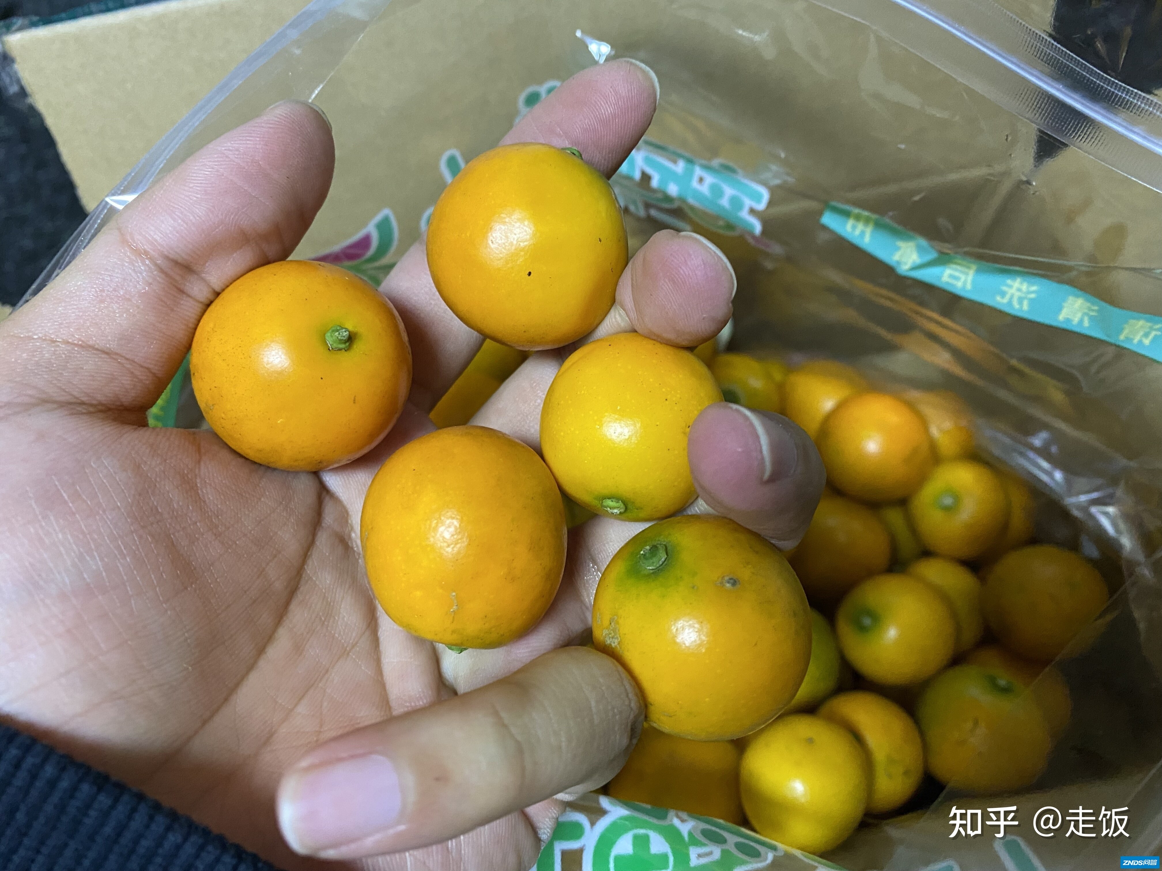 如果只让你推荐一件必买年货，你会按头安利什么？-2.jpg