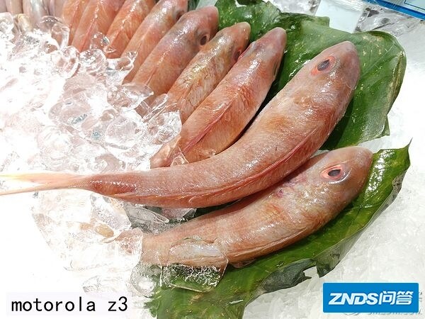 如何评价摩托罗拉新机 Motorola Z3?-57.jpg