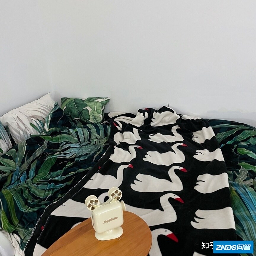 超适合独居妹子的猫王灵感P5家用投影仪，送礼必备！