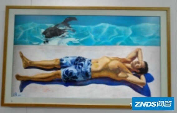 如何评价京东方BOE画屏？