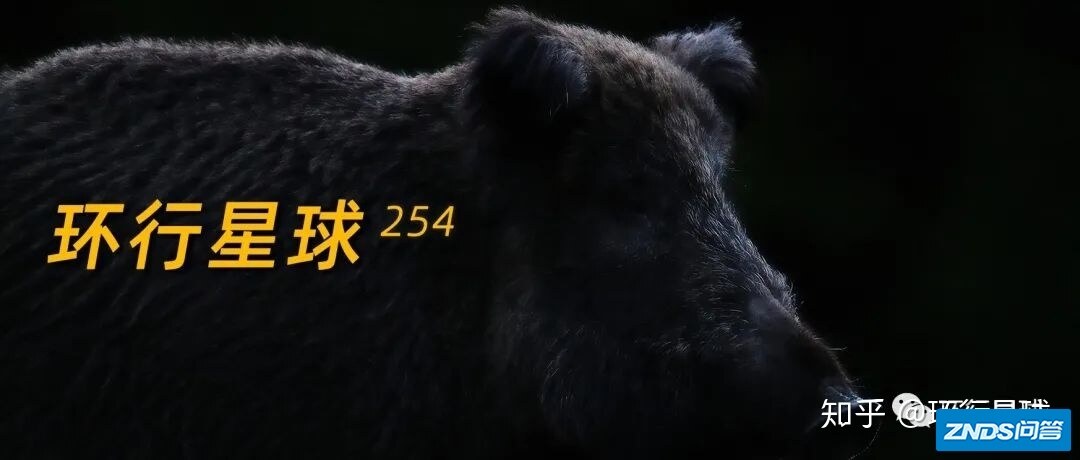农村光棍儿都爱看的相亲节目，我直呼内行-50.jpg