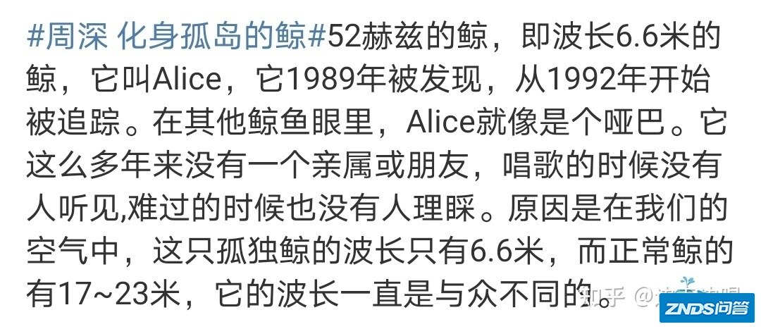 如何评价《2021 天猫双 11 狂欢夜》周深的表现？