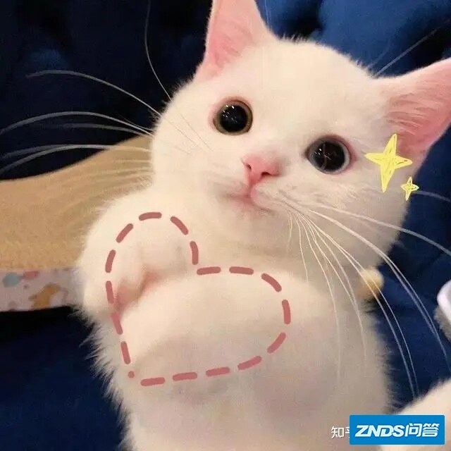 2022年4月最全家用家用投影仪推荐，一千到一万价位买什么，极 ...