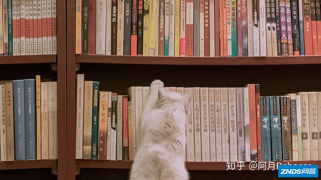 《风之影》:好读有趣的西班牙语作品-3.jpg