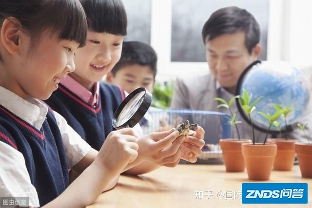 “国际学校”避坑指南！上海从此再无“国际学校”！-4.jpg