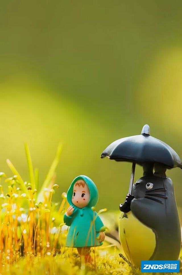 w1.jpg