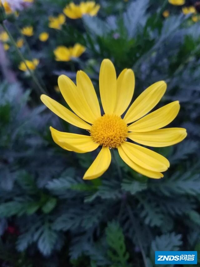 实话实说，目前有还在用三星note8或note9的人吗？它到底是真卡或是假卡？我想买？