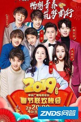 请问大佬有2019中央电视台春节联欢晚会2019上映的由 康...