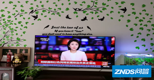 荣耀电视买哪个系列好?