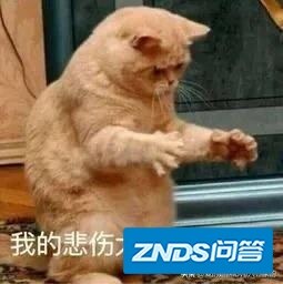 把酒店作为普通隔离观察点，疫情后经严格消毒，您会入住吗？