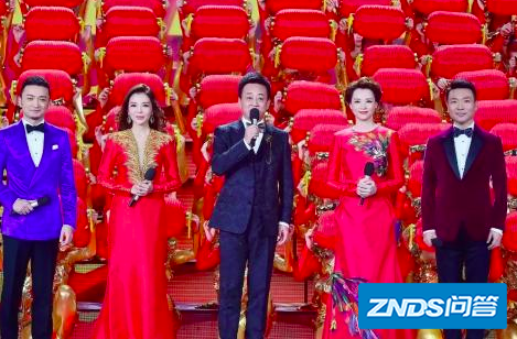 春晚节目类型是指什么?