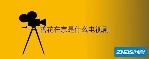 善花在京是指什么电视剧