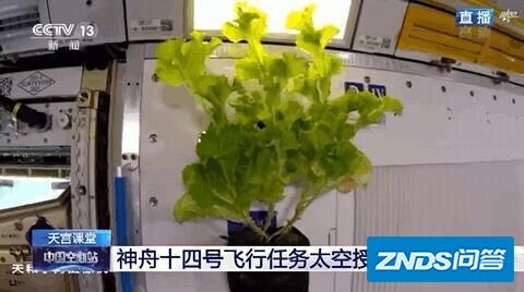 “天宫课堂”第三课讲述“太空菜园”,这是一项怎样的“黑科技”?_百度...