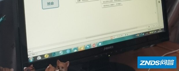 钉钉投屏码在哪里找