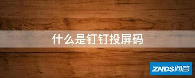 什么是钉钉投屏码