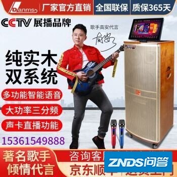 曼龙k111音响与丹唛仕k920音响那个好?