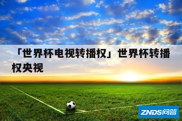 世界杯版权归央视,其他平台可以向央视购买转播权吗?
