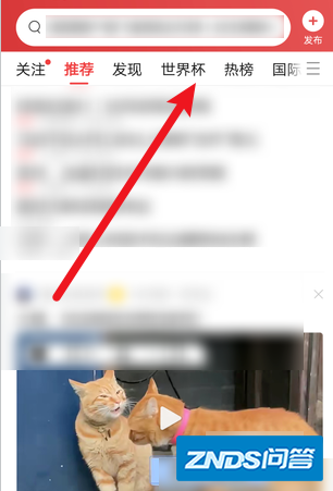 如何看世界杯直播