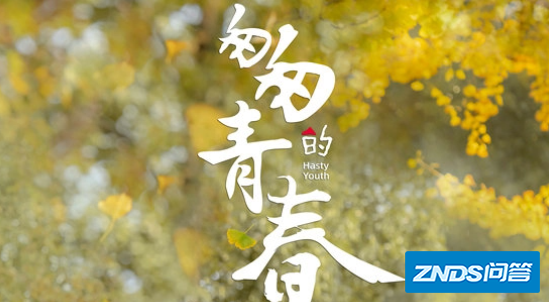 最近新出的电视剧都有哪些