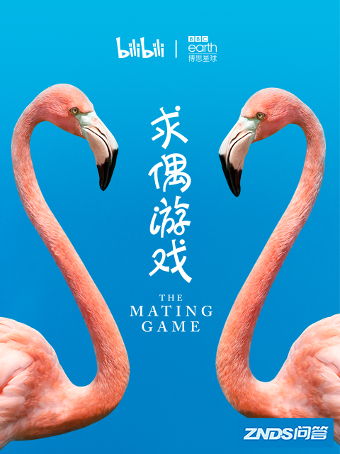 中国10部顶级纪录片有哪些?