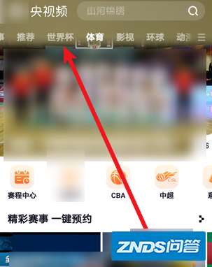 世界杯直播在哪看