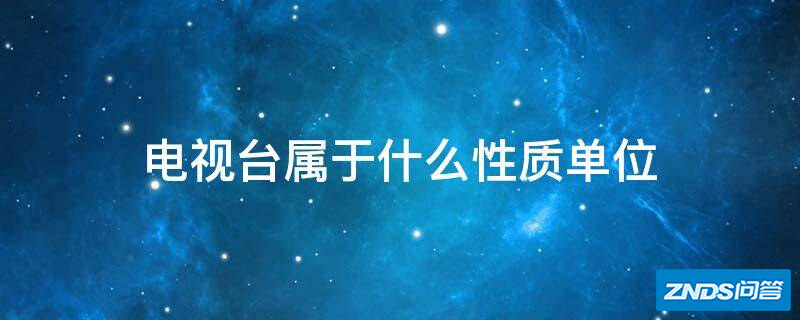 电视台属于什么性质单位