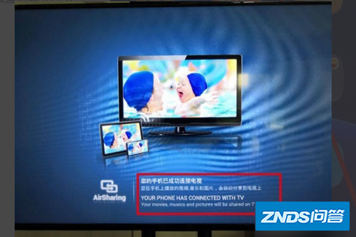 z5.jpg
