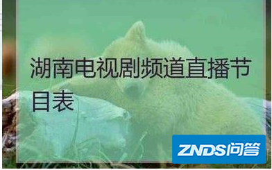 湖南电视剧频道节目表